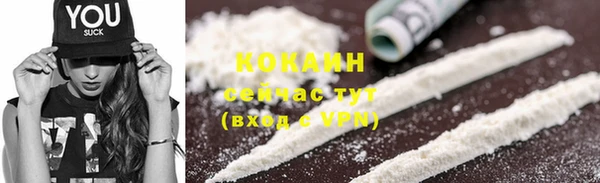 винт Верея