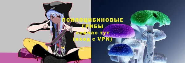 винт Верея