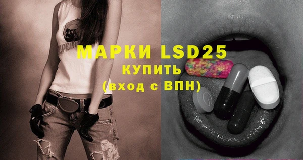 винт Верея