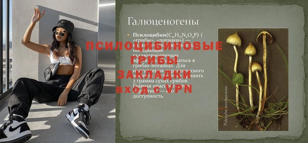 винт Верея